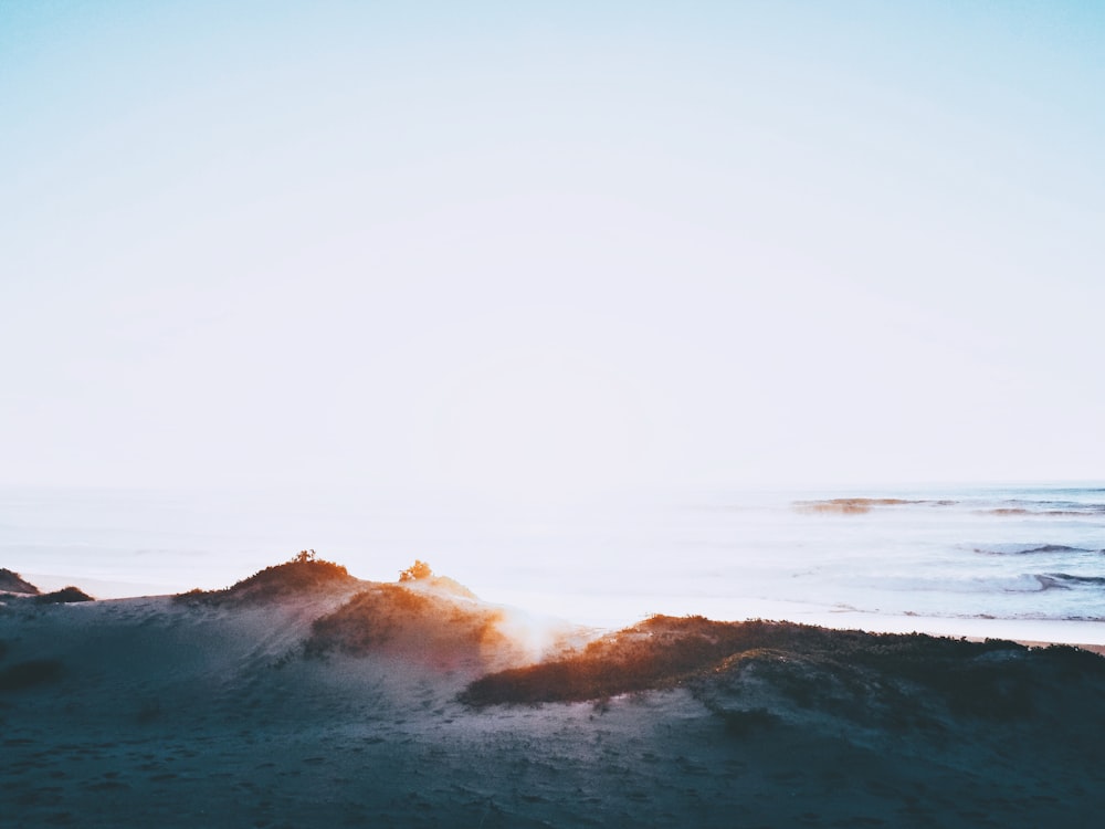 aerial photography of coastline