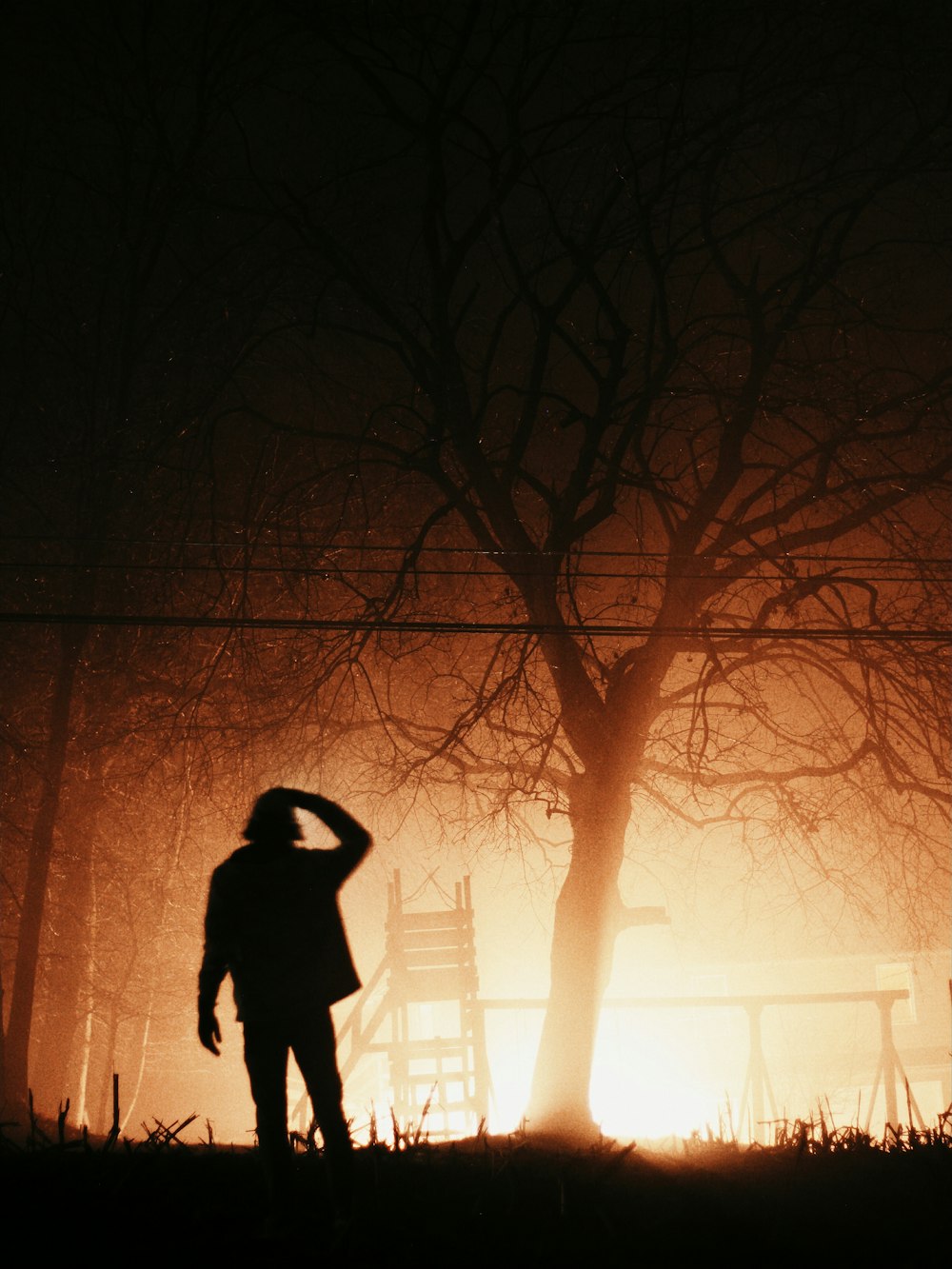 Silhouettenfoto einer Person, die unter dem kahlen Baum steht