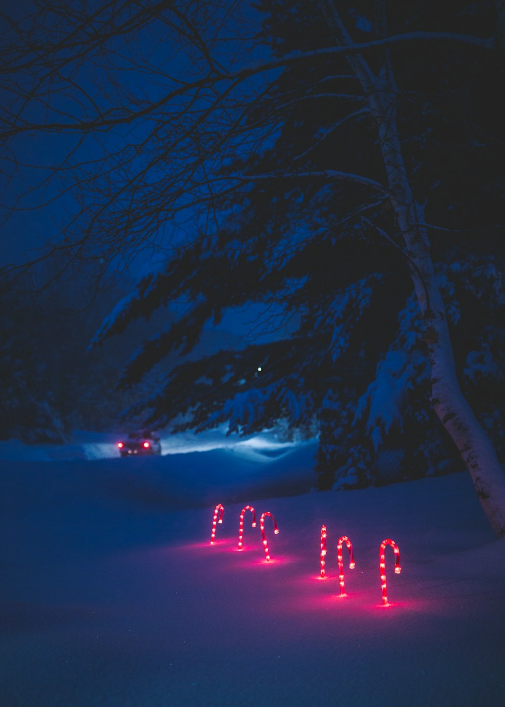 bastoncini di zucchero illuminati e circondati dalla neve
