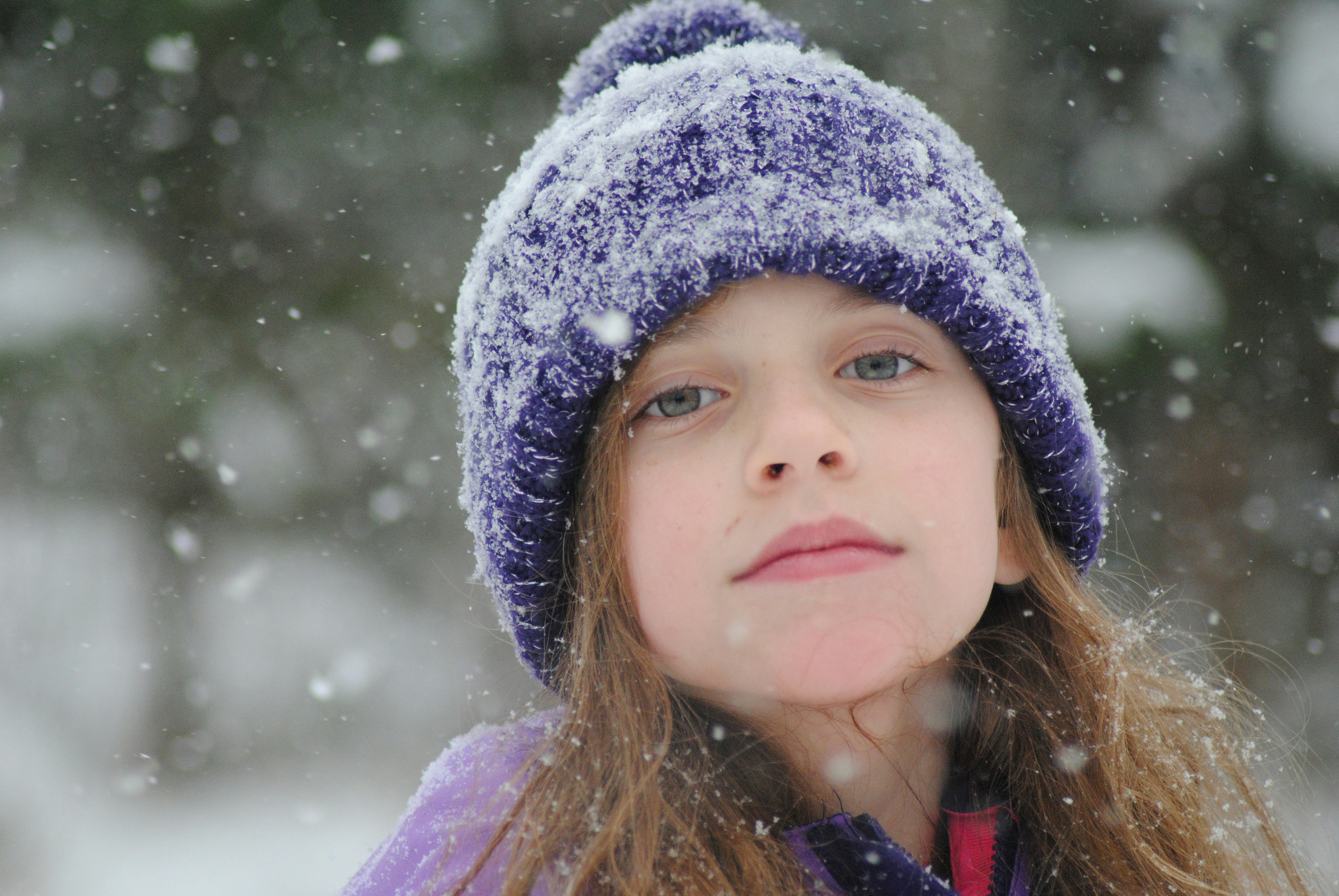 Free Unsplash photo from Amy Tetta