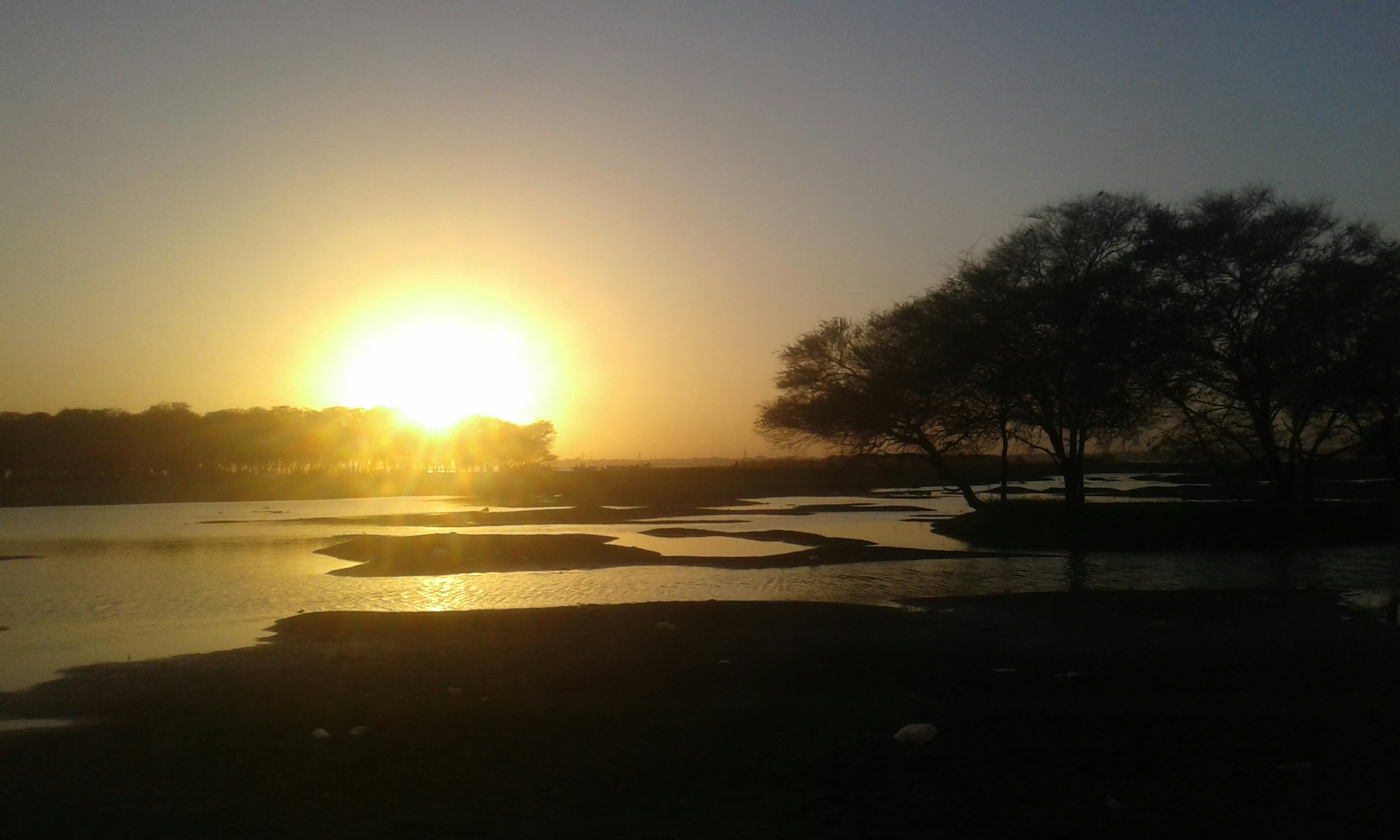 Free Unsplash photo from Anfal Ismaeil