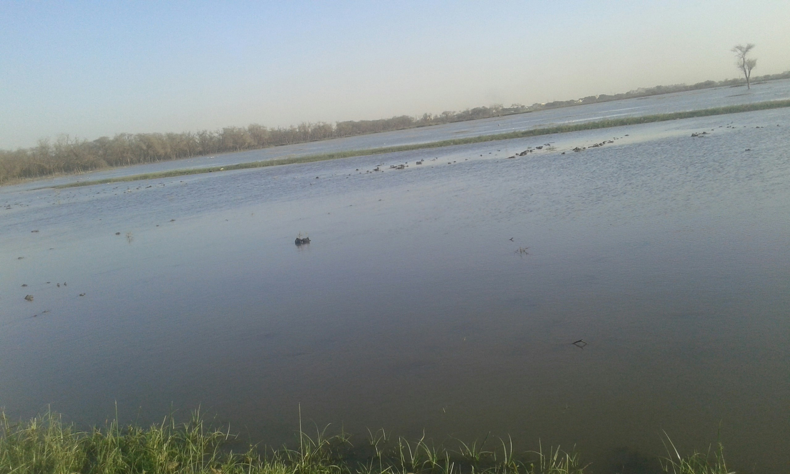 Free Unsplash photo from Anfal Ismaeil