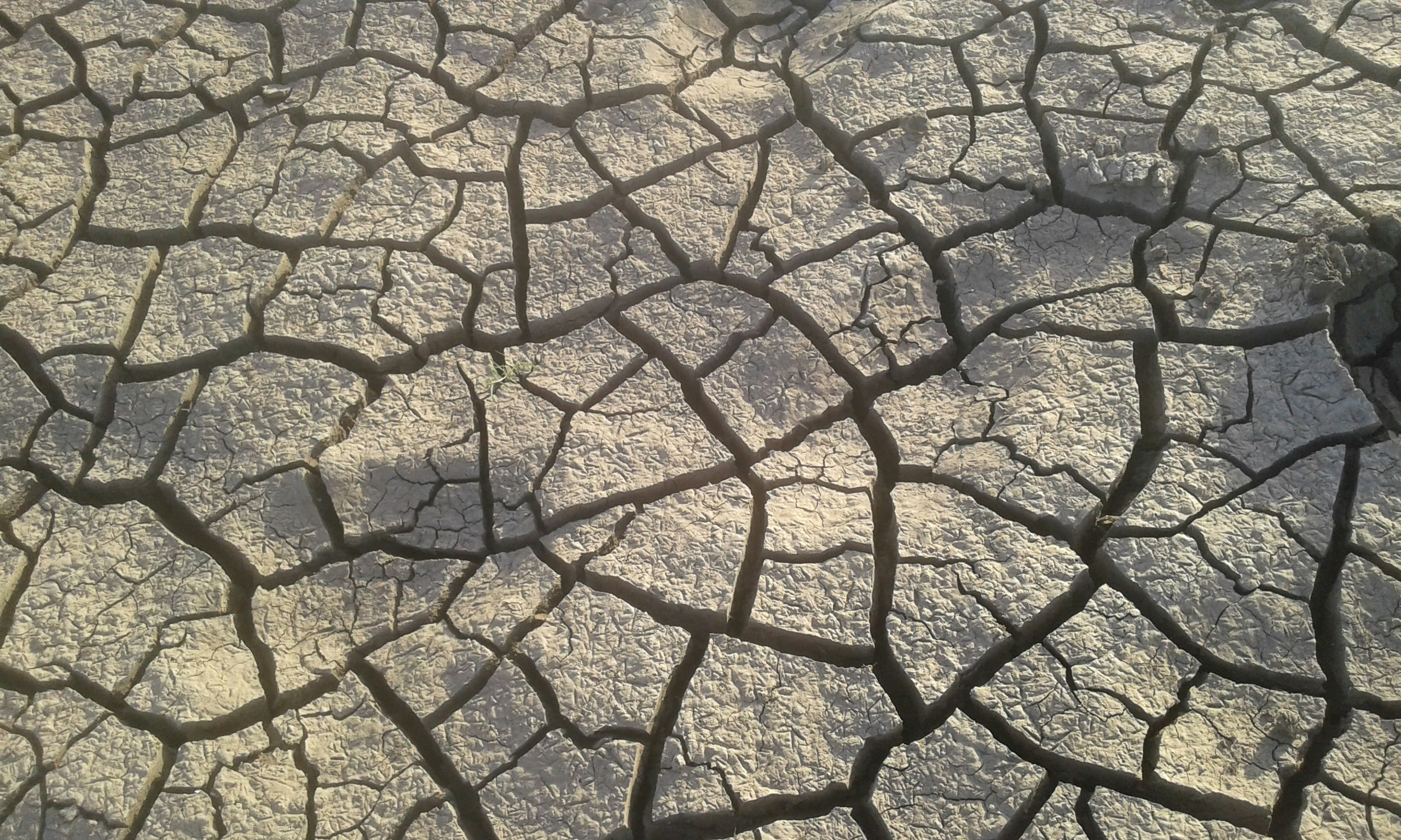 Free Unsplash photo from Anfal Ismaeil