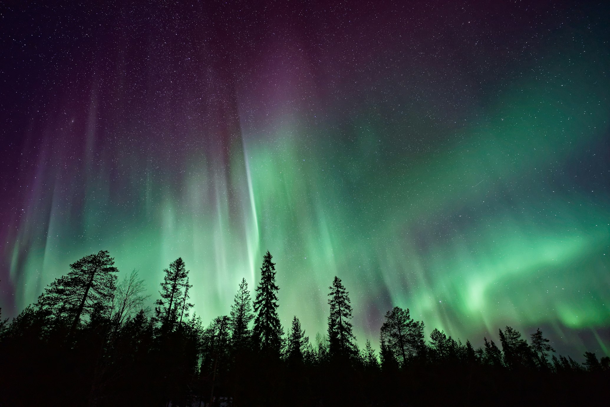 Aurora view near Almost Home Qasigiannguit