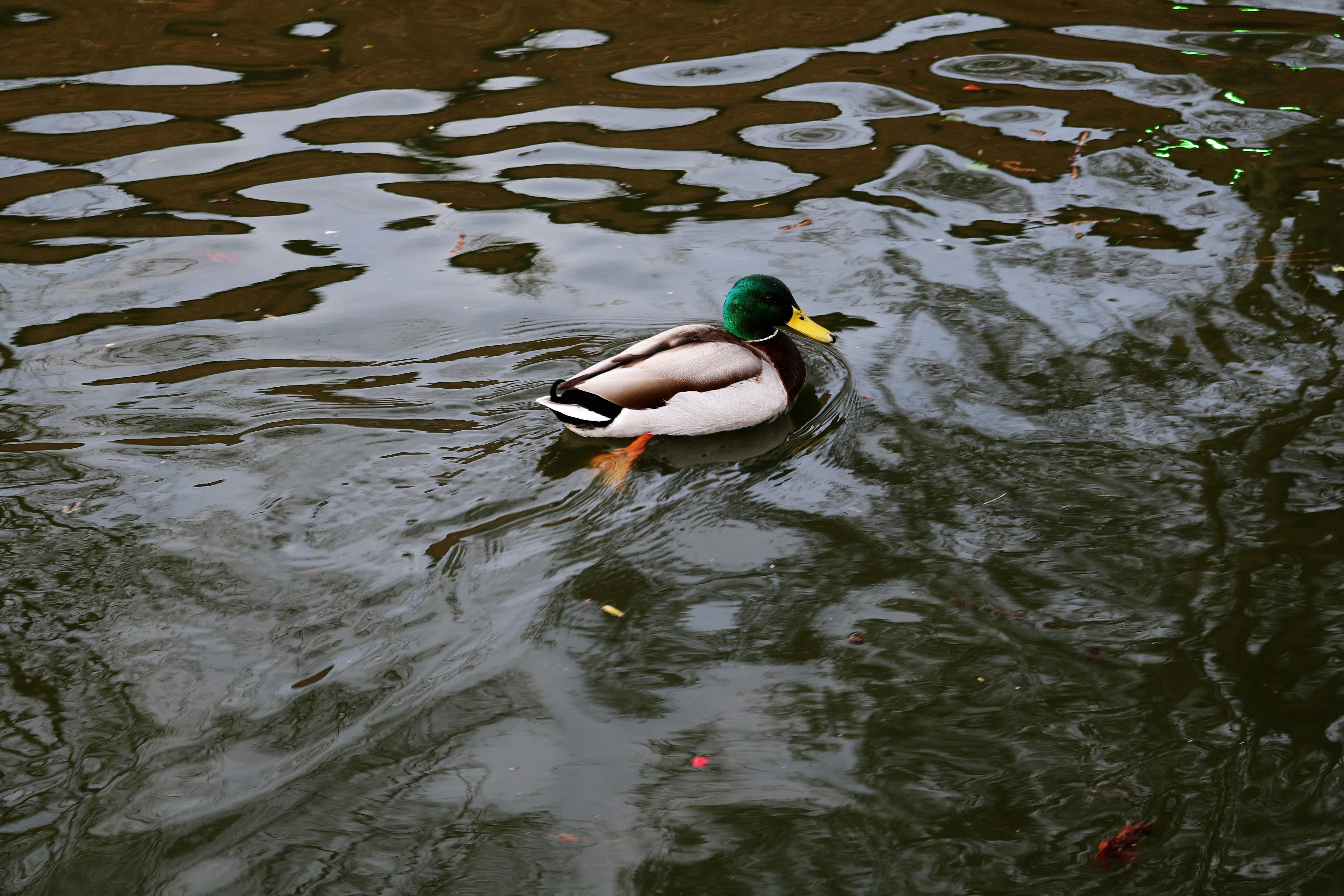 Free Unsplash photo from Creative Nerds