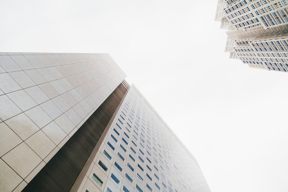 architectural photography of white building