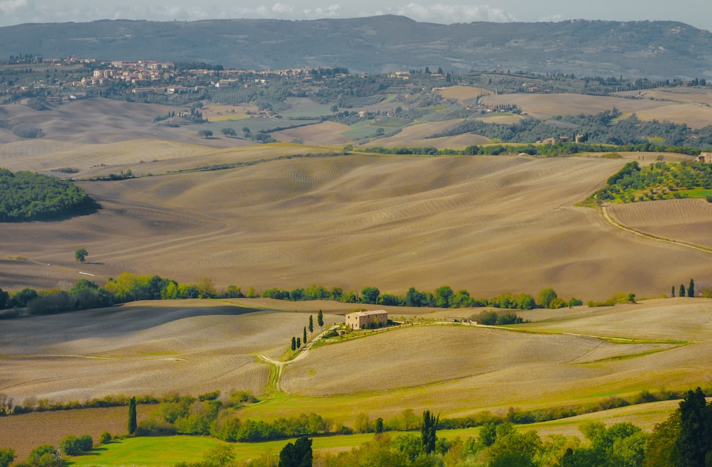 brown field