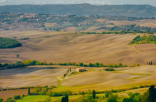 brown field in Montepulciano Italy