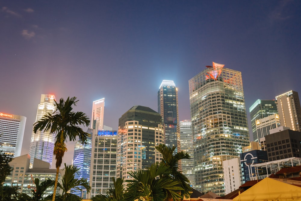 green palm trees near high rise buildings during night time