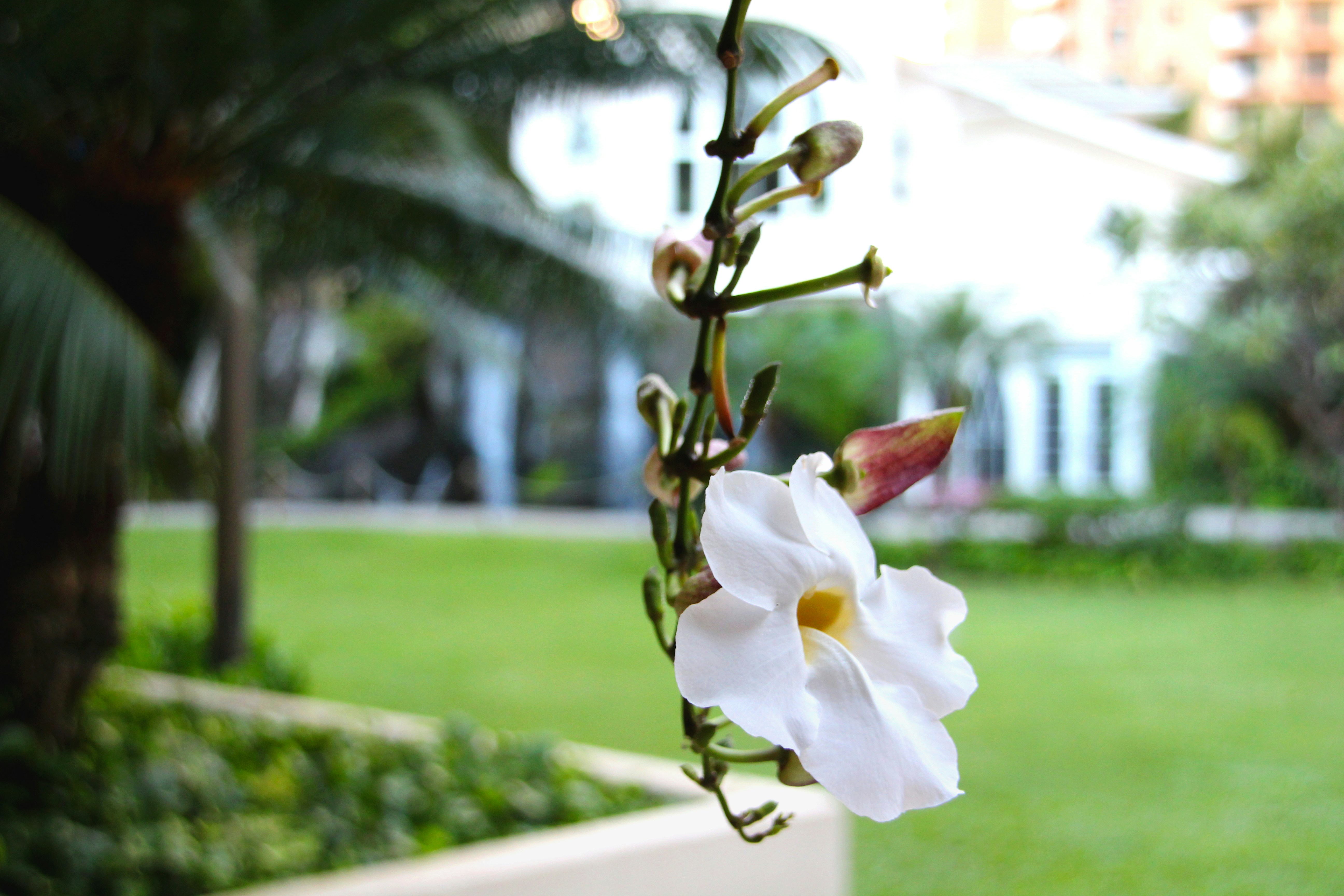 Free Unsplash photo from dsa adssd