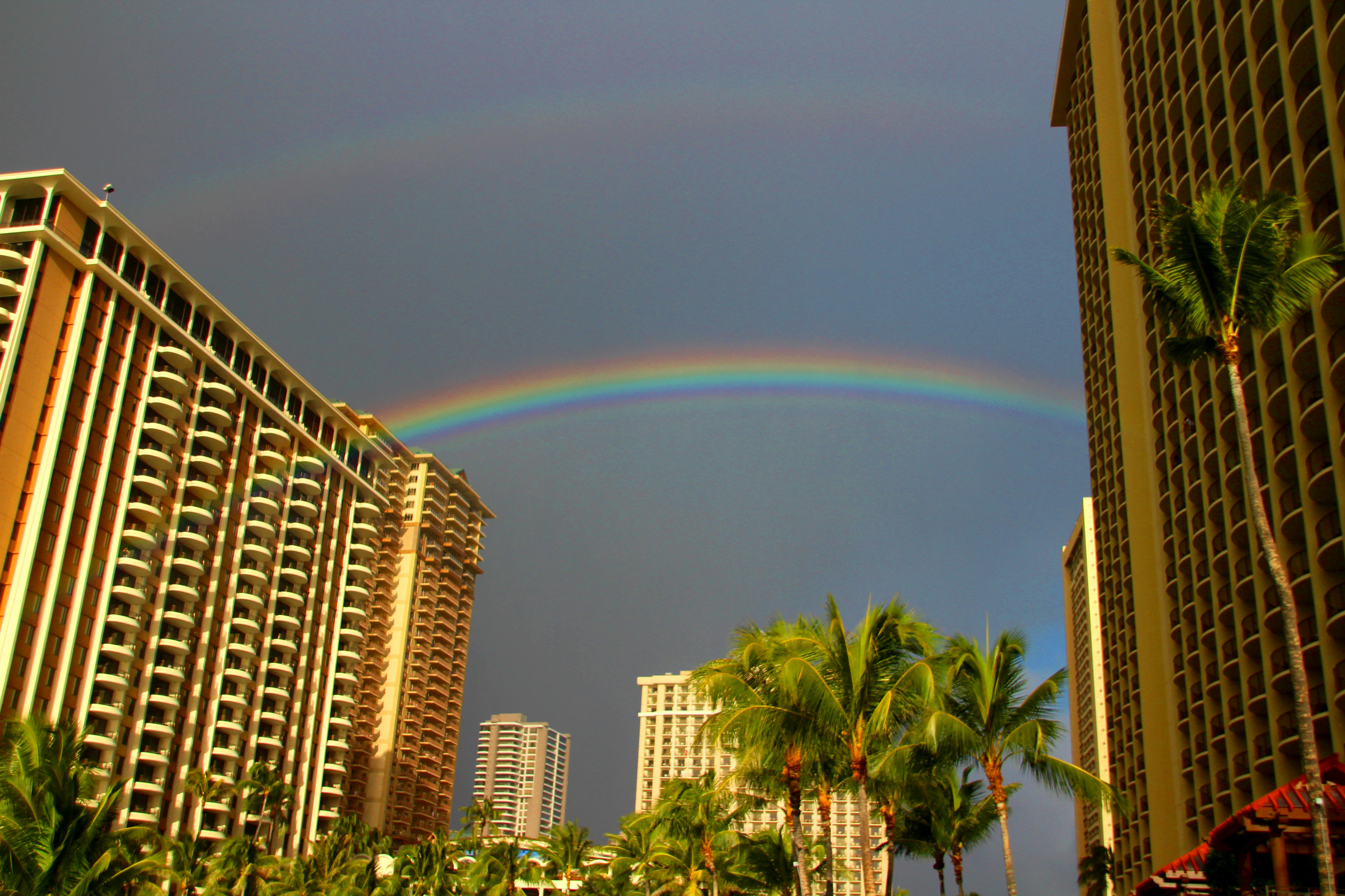 Free Unsplash photo from dsa adssd