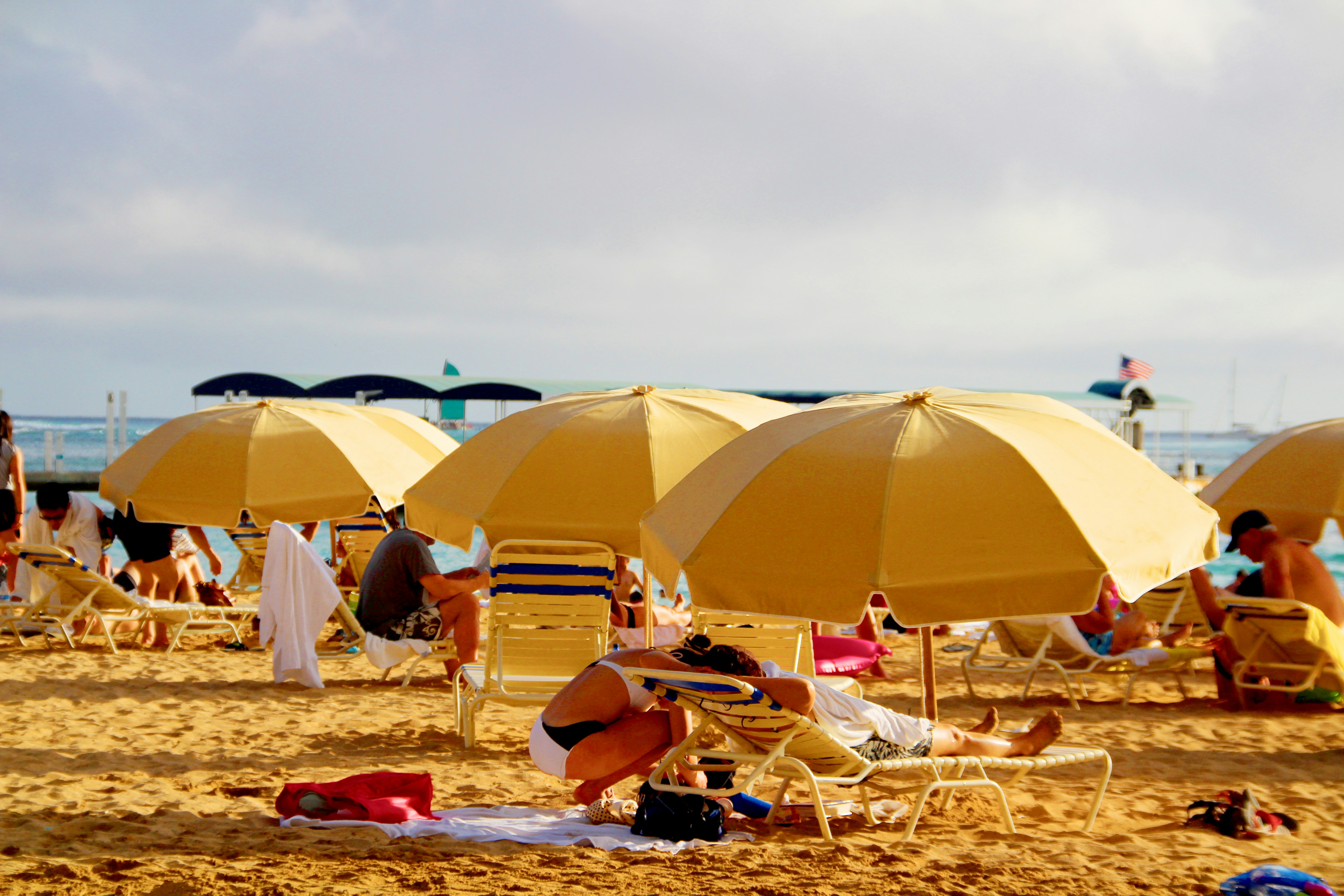 Free Unsplash photo from dsa adssd