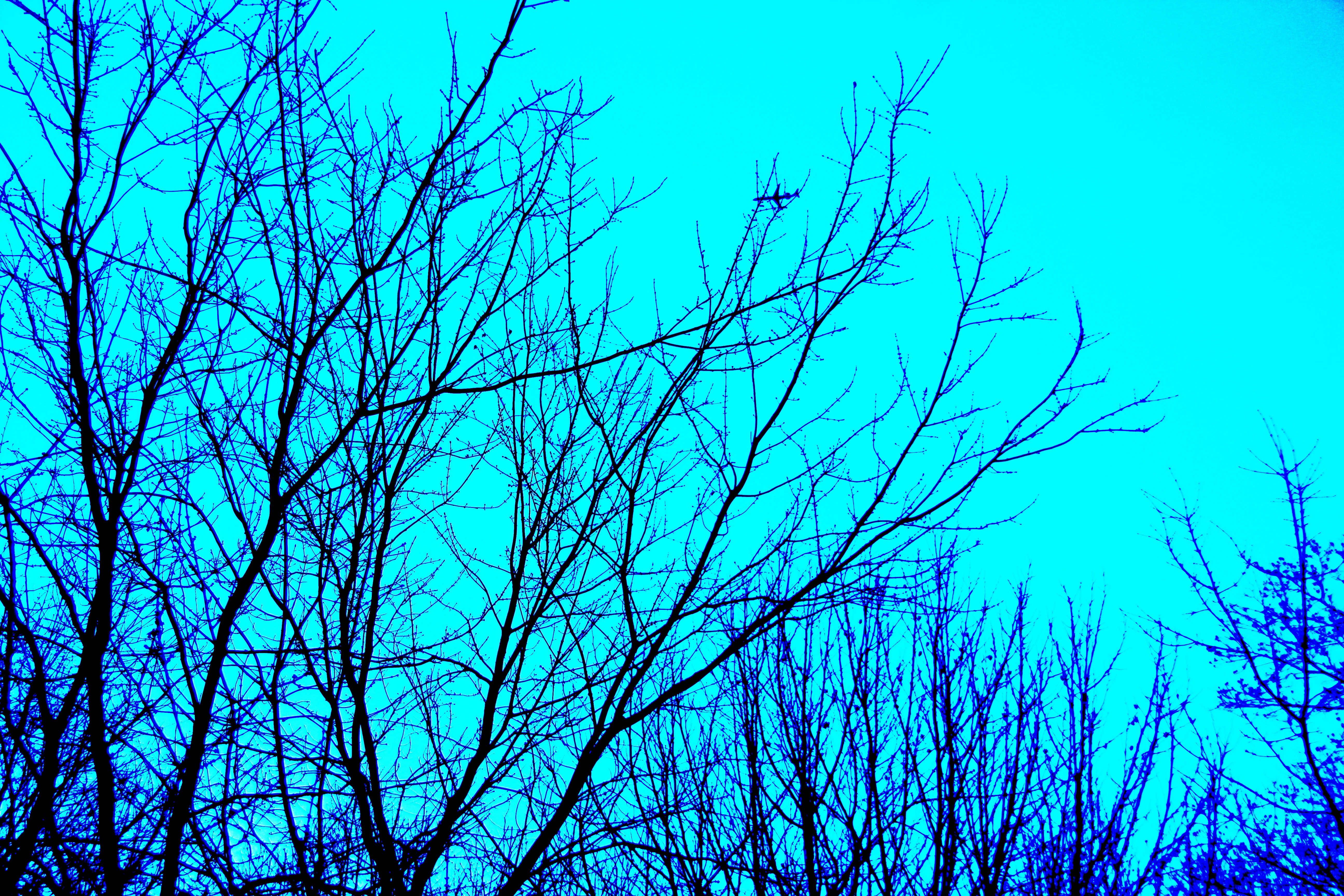 Free Unsplash photo from dsa adssd