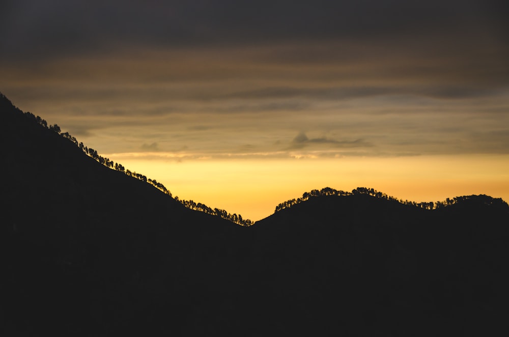 silhouette of mountain with trees