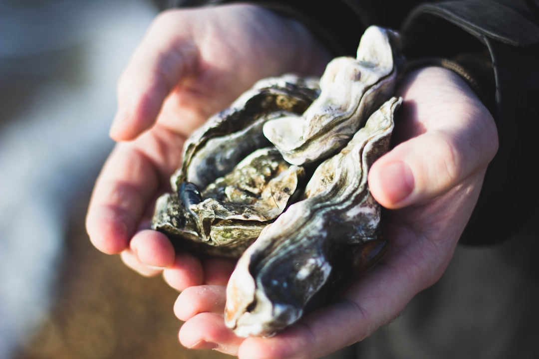 Oysters for the Creative Reader