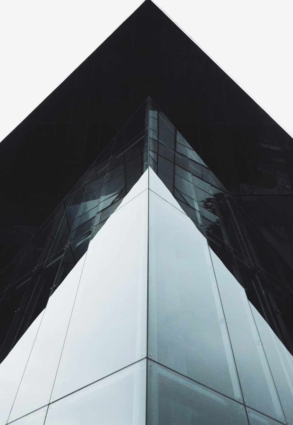 architectural photography of glass building