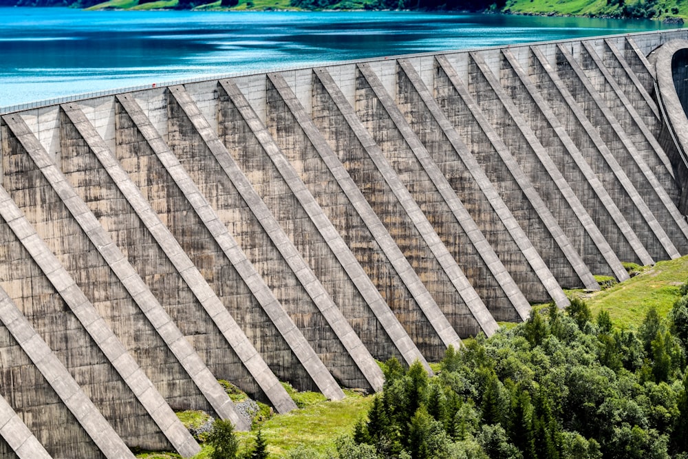 gray concrete dam near green trees