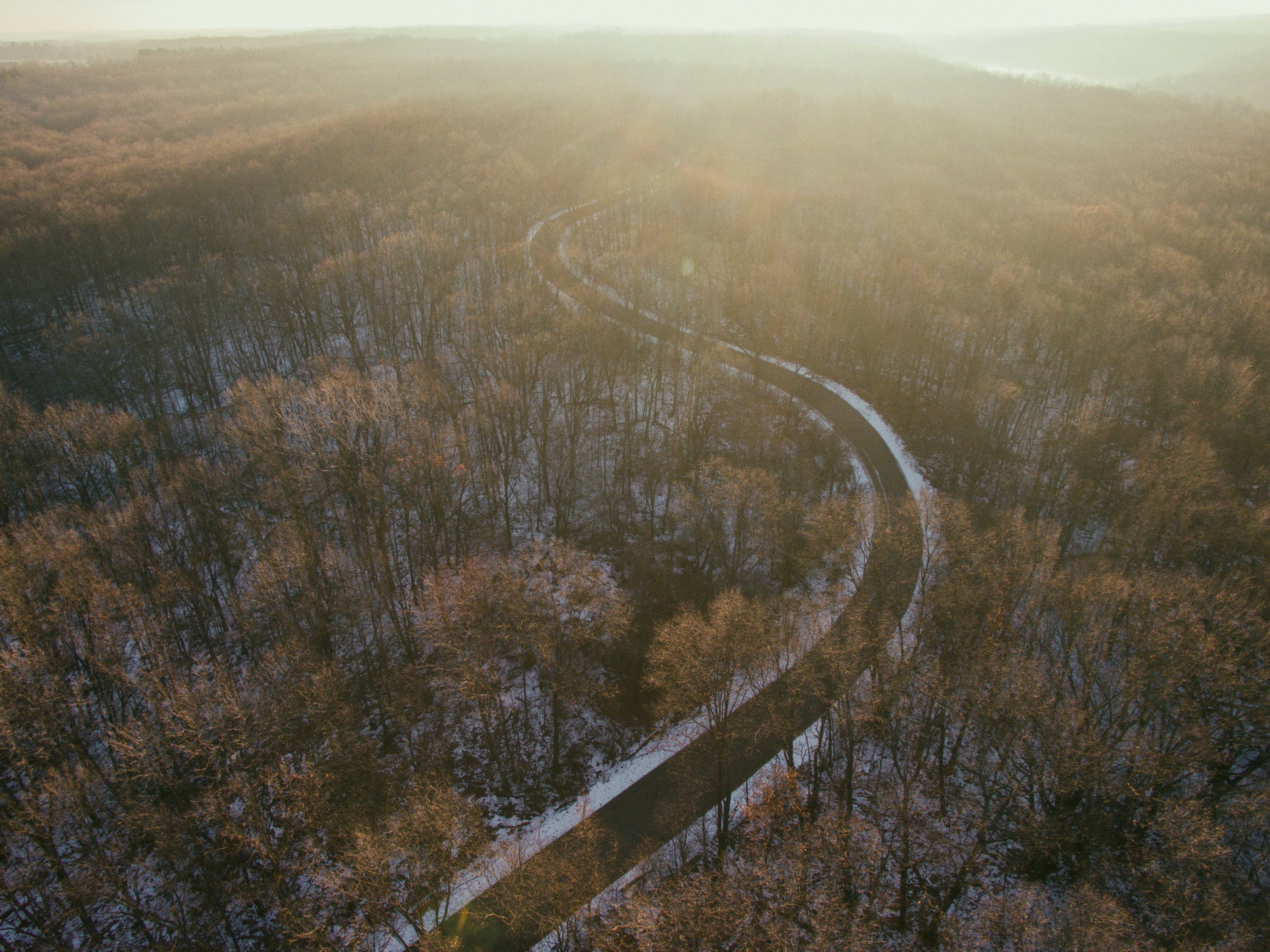 aerial view photography of road surrounded of trees