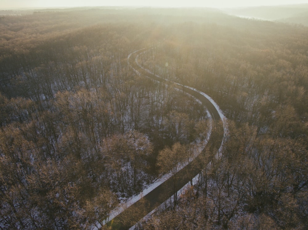aerial view photography of road surrounded of trees