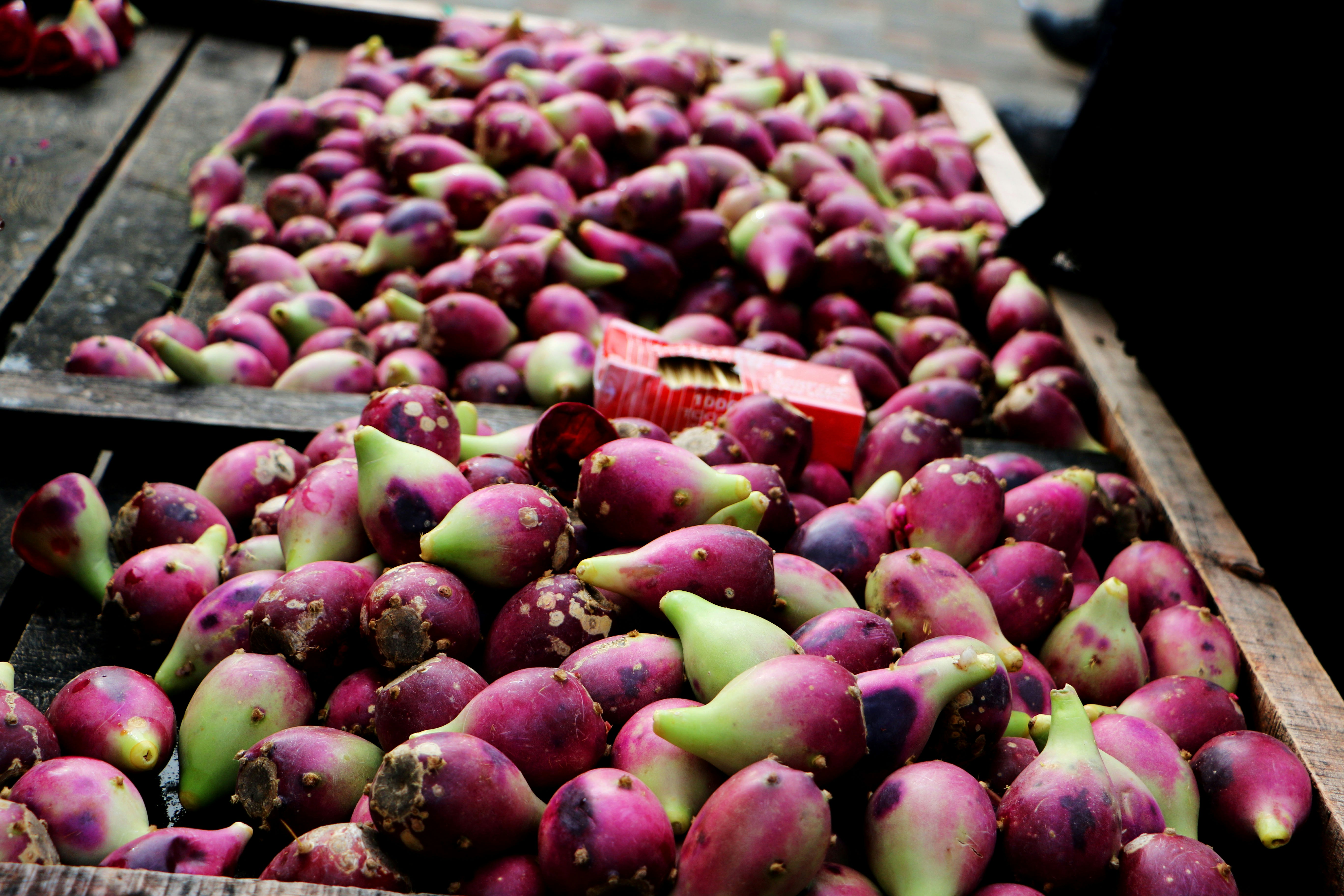 Free Unsplash photo from X Zhao