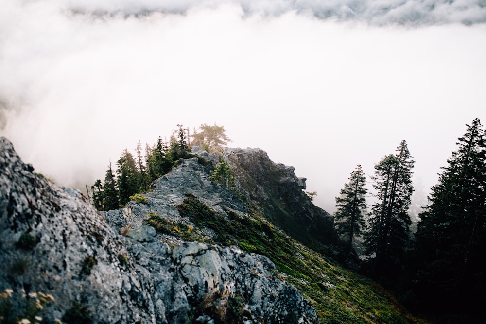 a view of the top of a mountain in the clouds