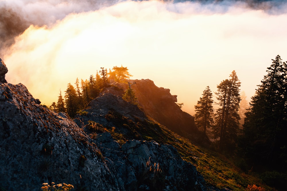 a person standing on top of a mountain