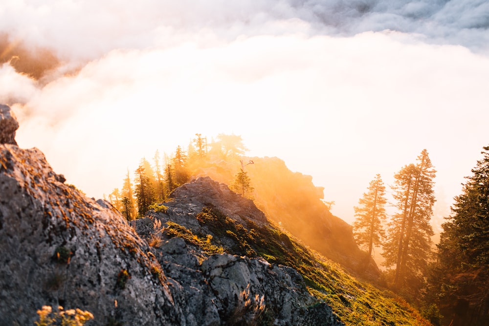 a person standing on top of a mountain