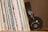 A collection of vinyl records stands upright, showcasing various album covers with diverse text and colors. Beside them, a pair of black headphones with visible branding rests against the records.