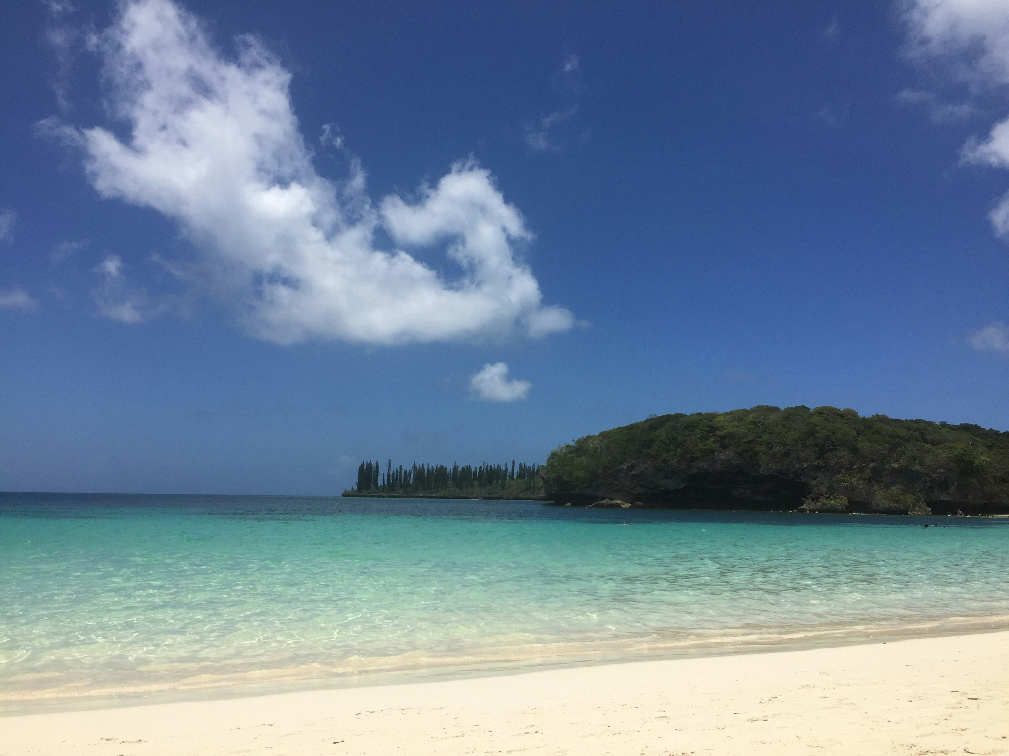 Free Unsplash photo from Scott Nicholas