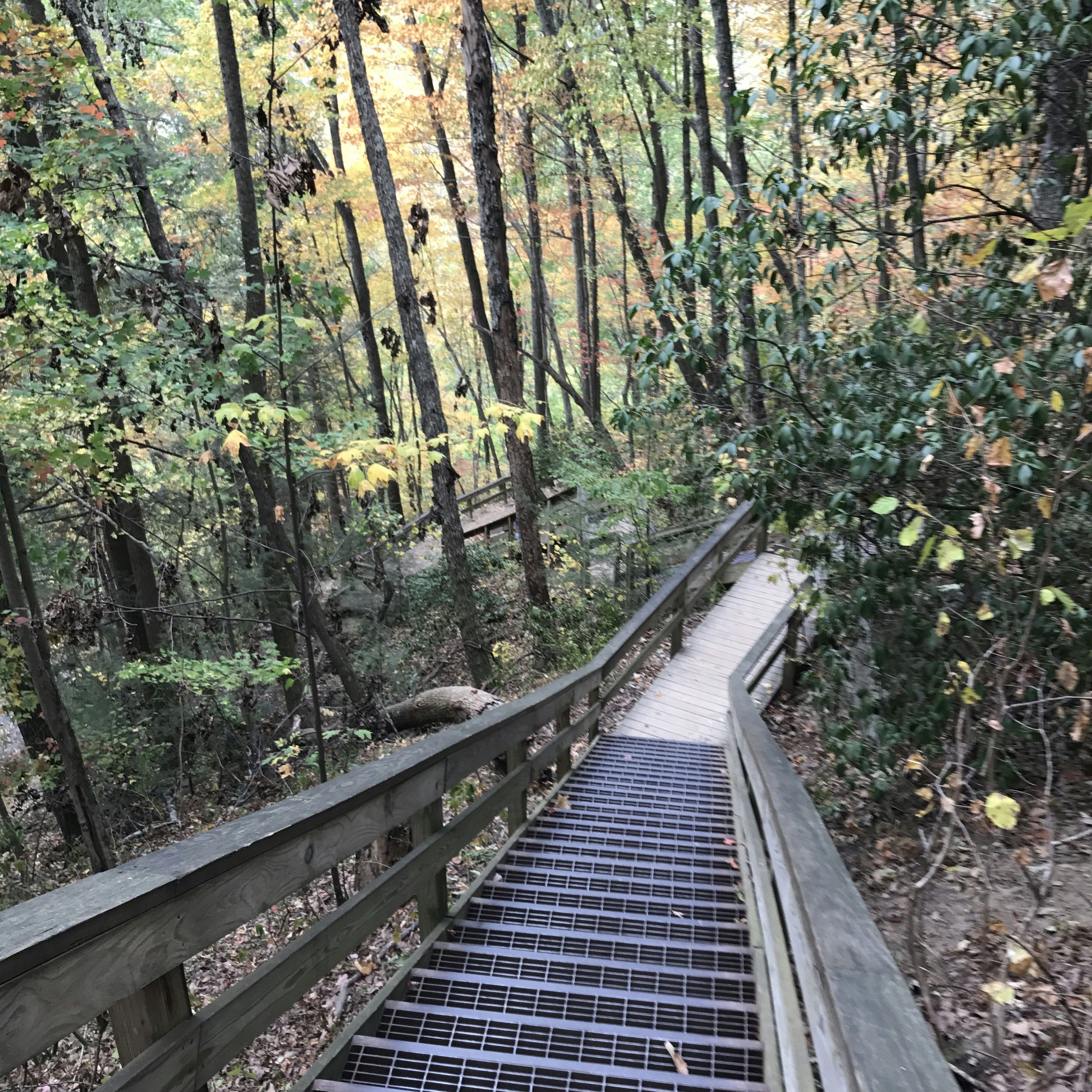 Free Unsplash photo from Jade Fitzwater Cardoza