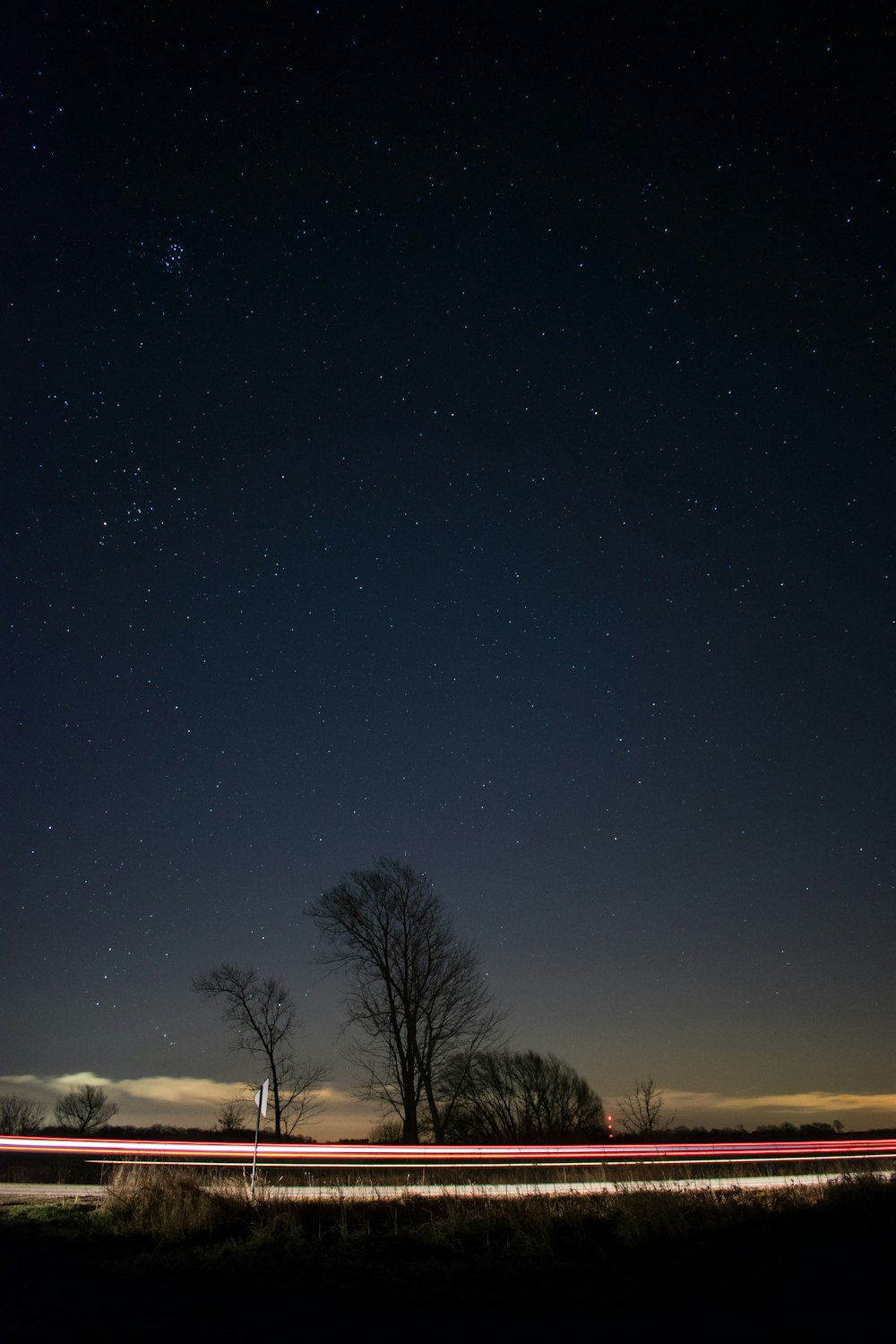 Fotografia em lapso de tempo da travessia de veículos entre árvores nuas sob noite estrelada