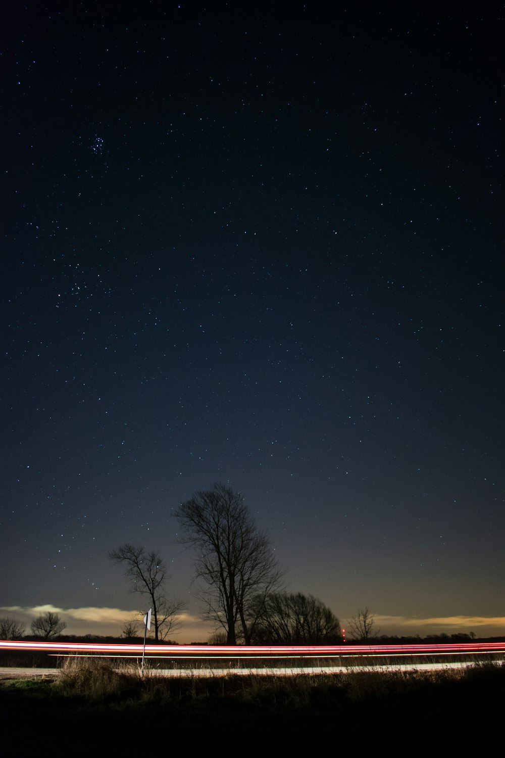 Photographie en accéléré d’un véhicule traversant entre des arbres nus sous la nuit étoilée