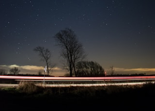 time lapse photography of vehicle crossing between bare trees under starry night