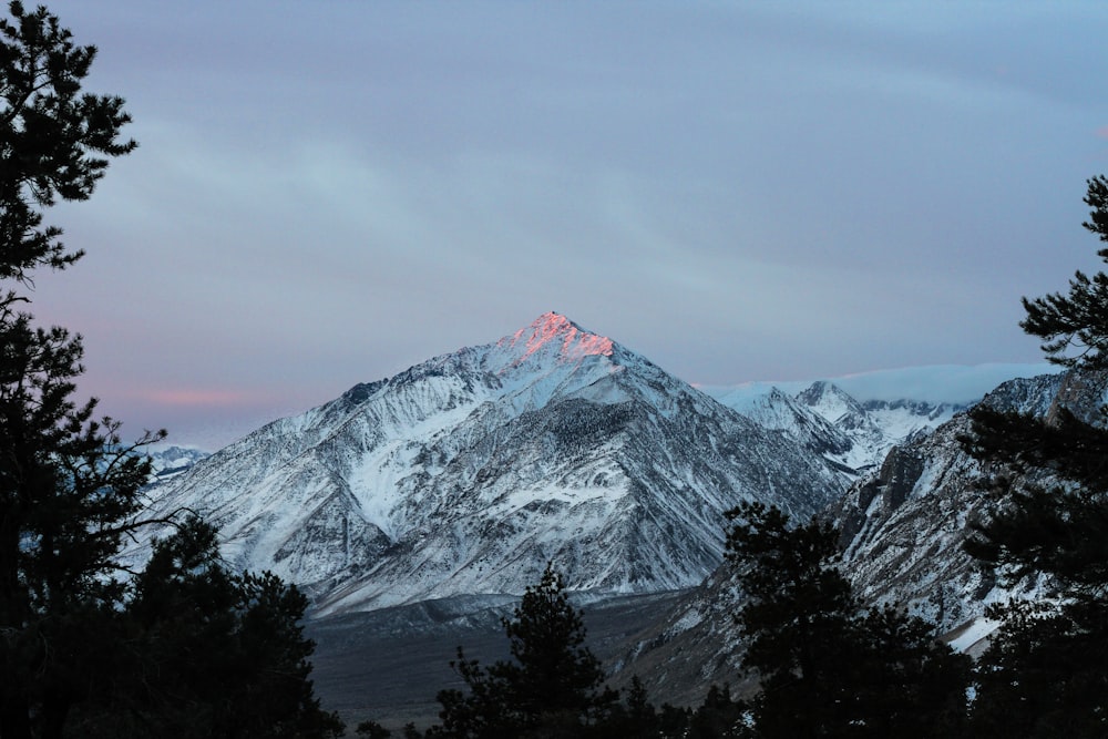 photo of mountain alps