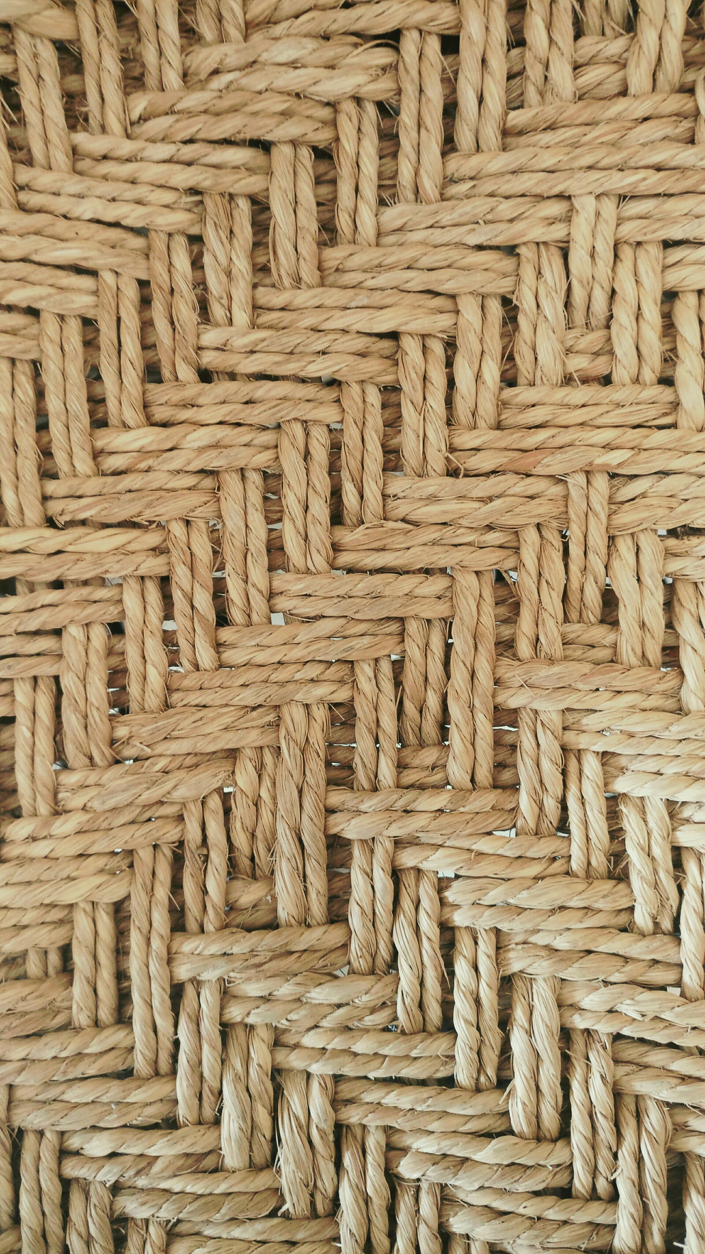 Free Unsplash photo from Nishit Manga