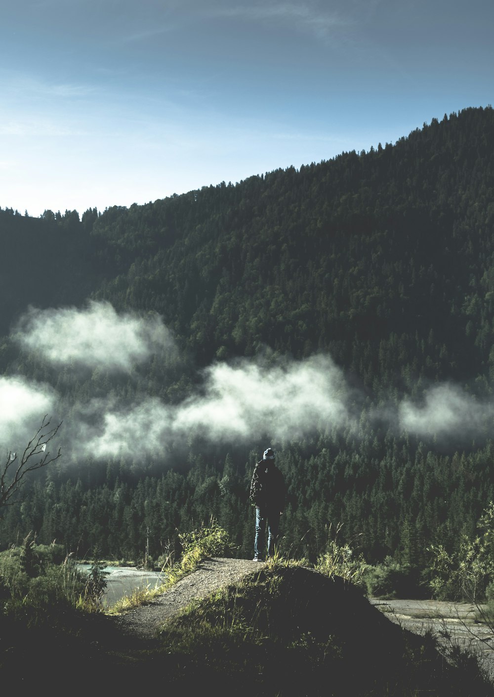 man standing near tall trees mountain during daytime