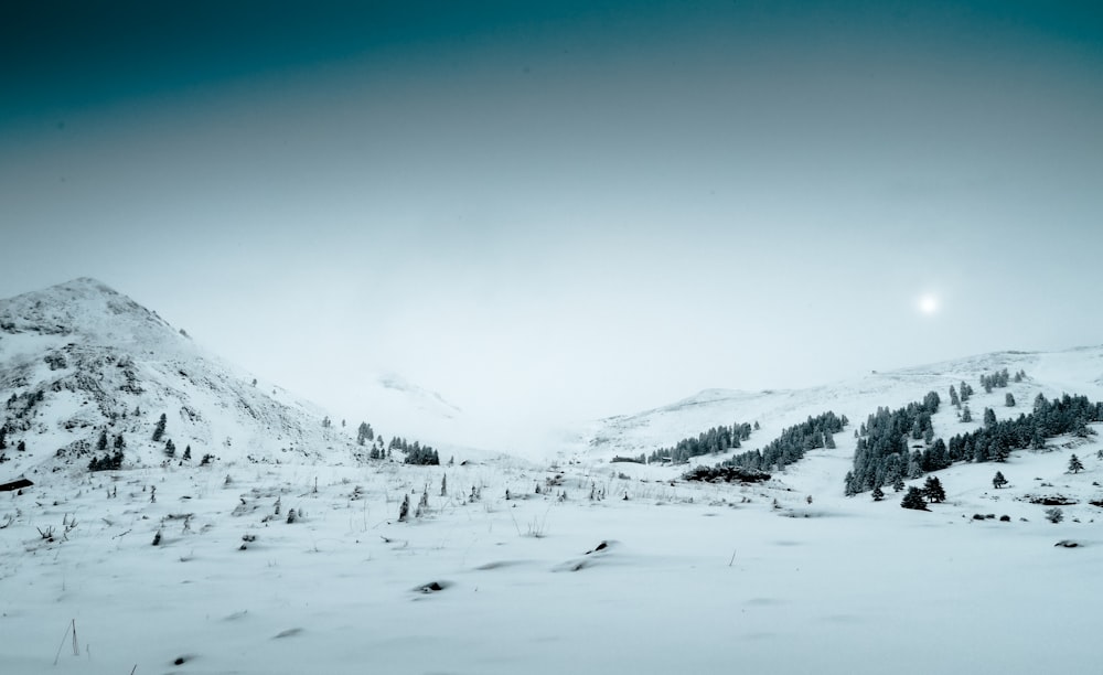 field covered in snow