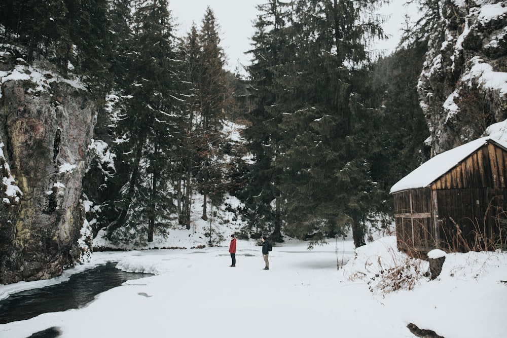 people standing on snowfield