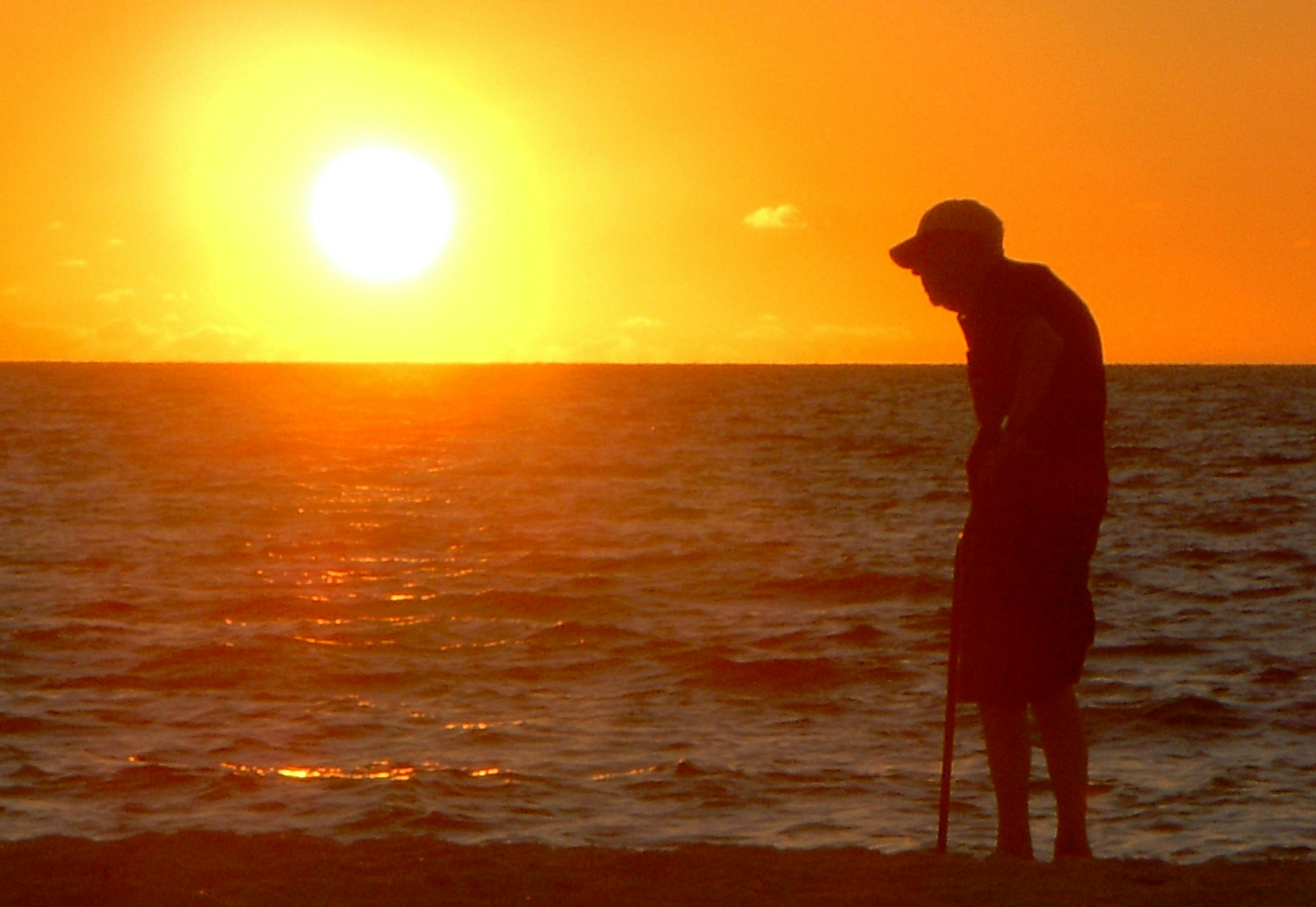 Free Unsplash photo from tom thomas