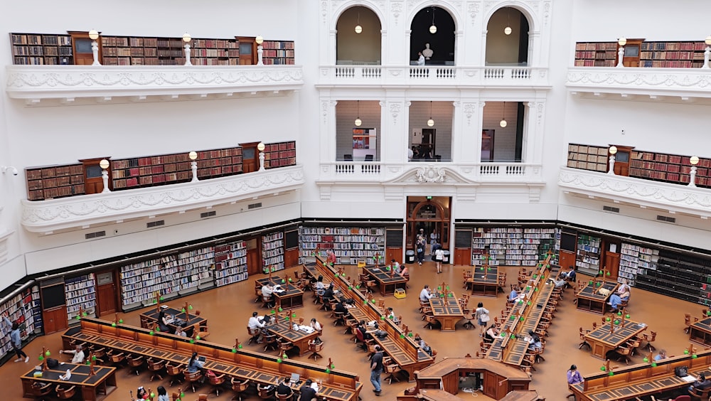 fotografia aérea de pessoas lendo livros dentro da biblioteca