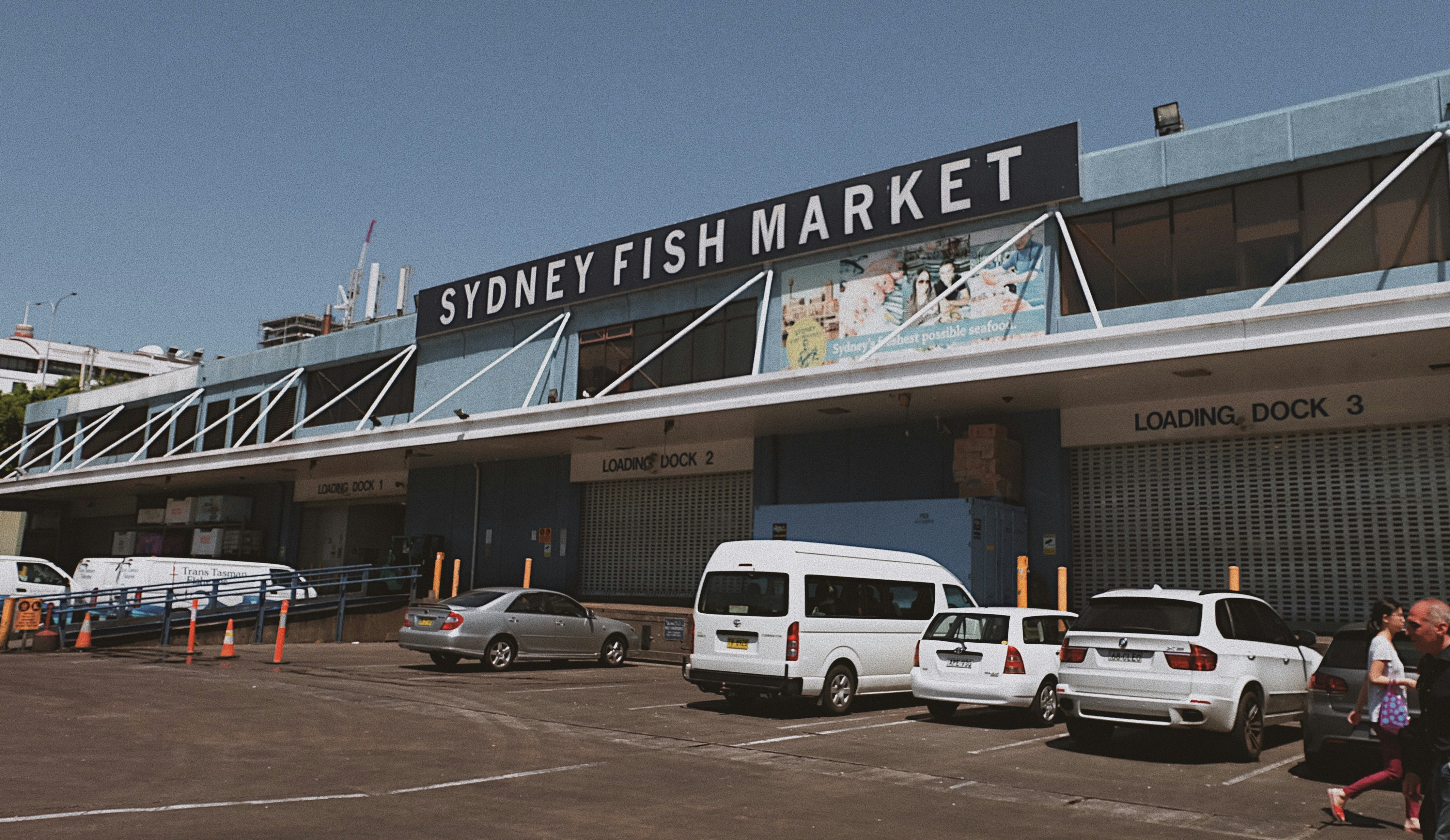 Maximizing Cash for Cars in Sydney: Quick Selling Tips and Strategies