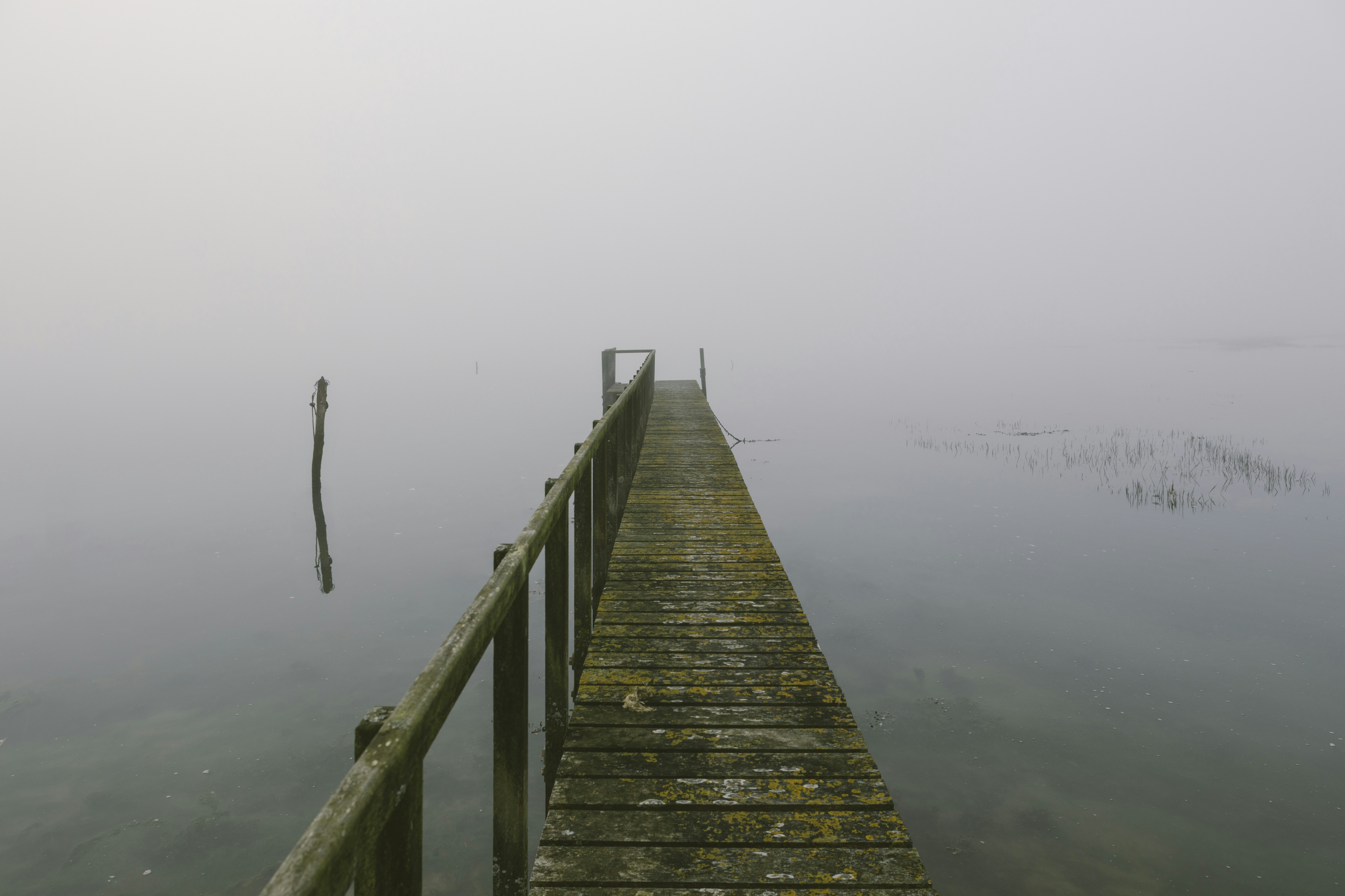 Free Unsplash photo from freddie marriage