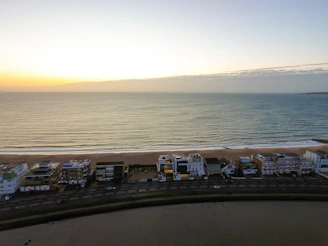 A serene ocean horizon at dawn symbolizing new business opportunities.