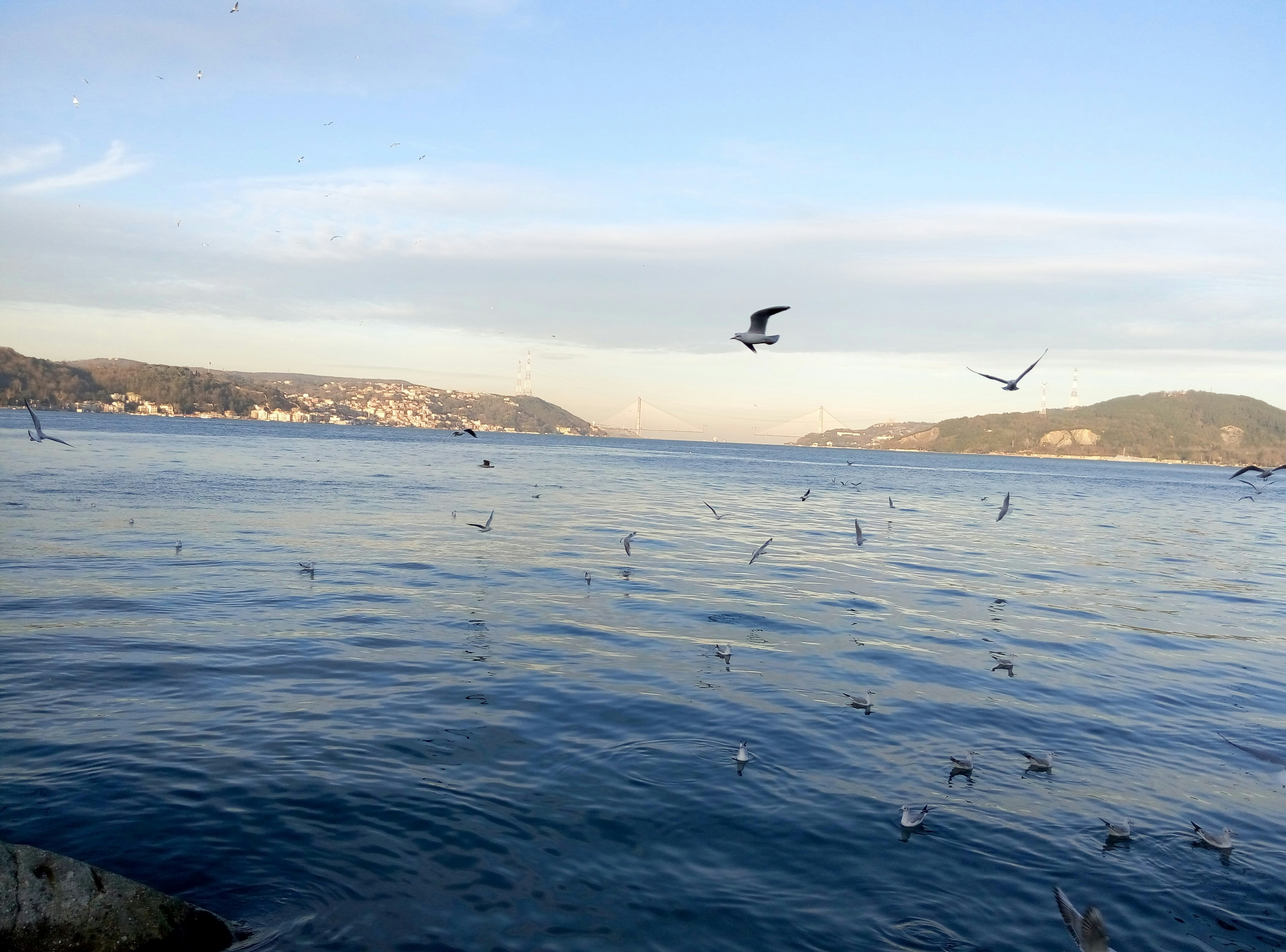 Free Unsplash photo from Ahmet Fendoglu