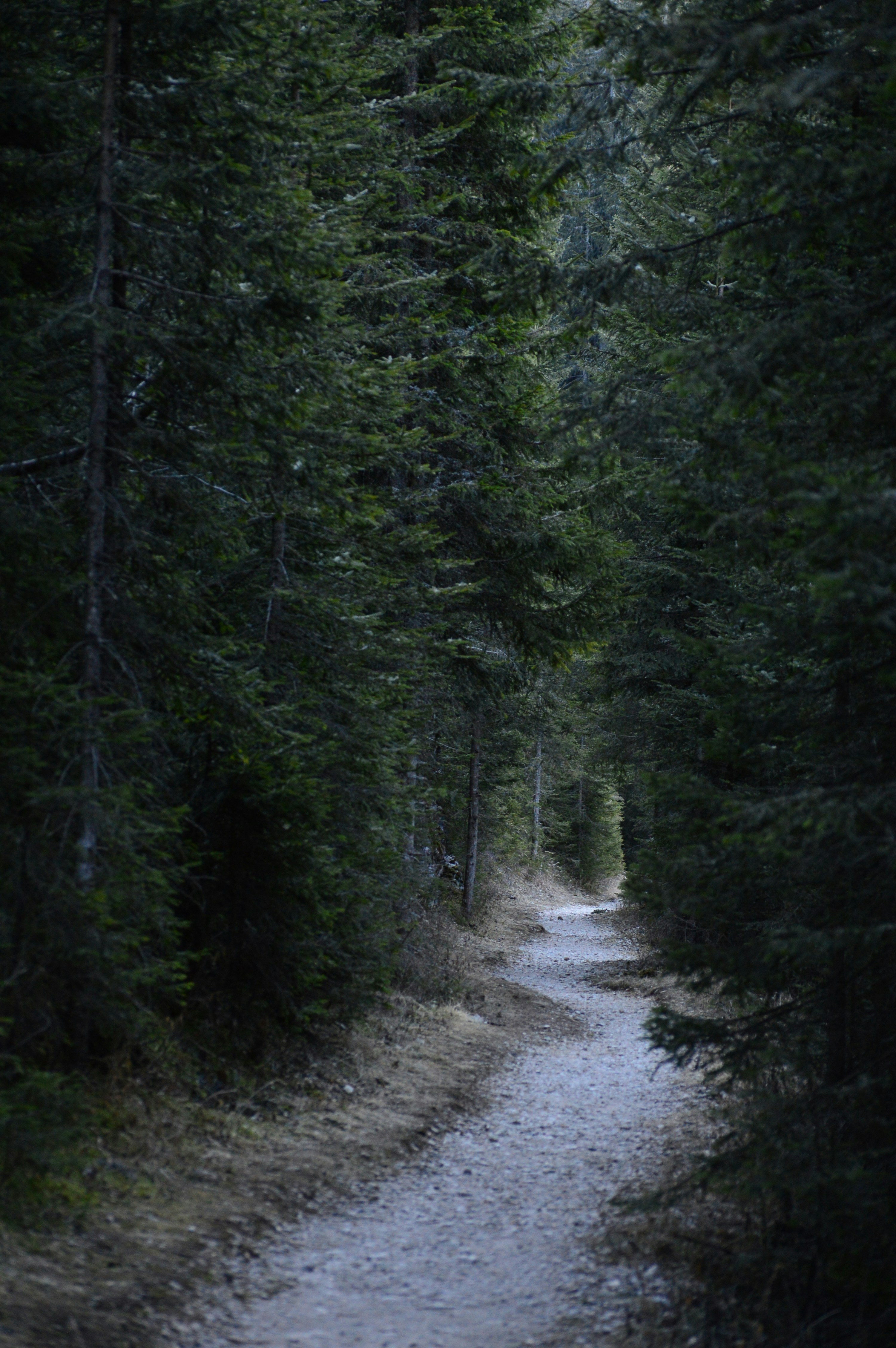 Free Unsplash photo from Emily Baruffaldi