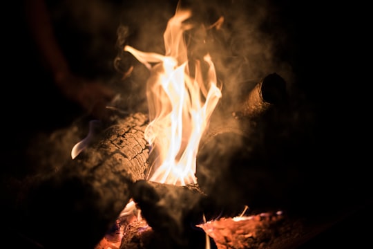 close up photo of bonfire in Anniston United States