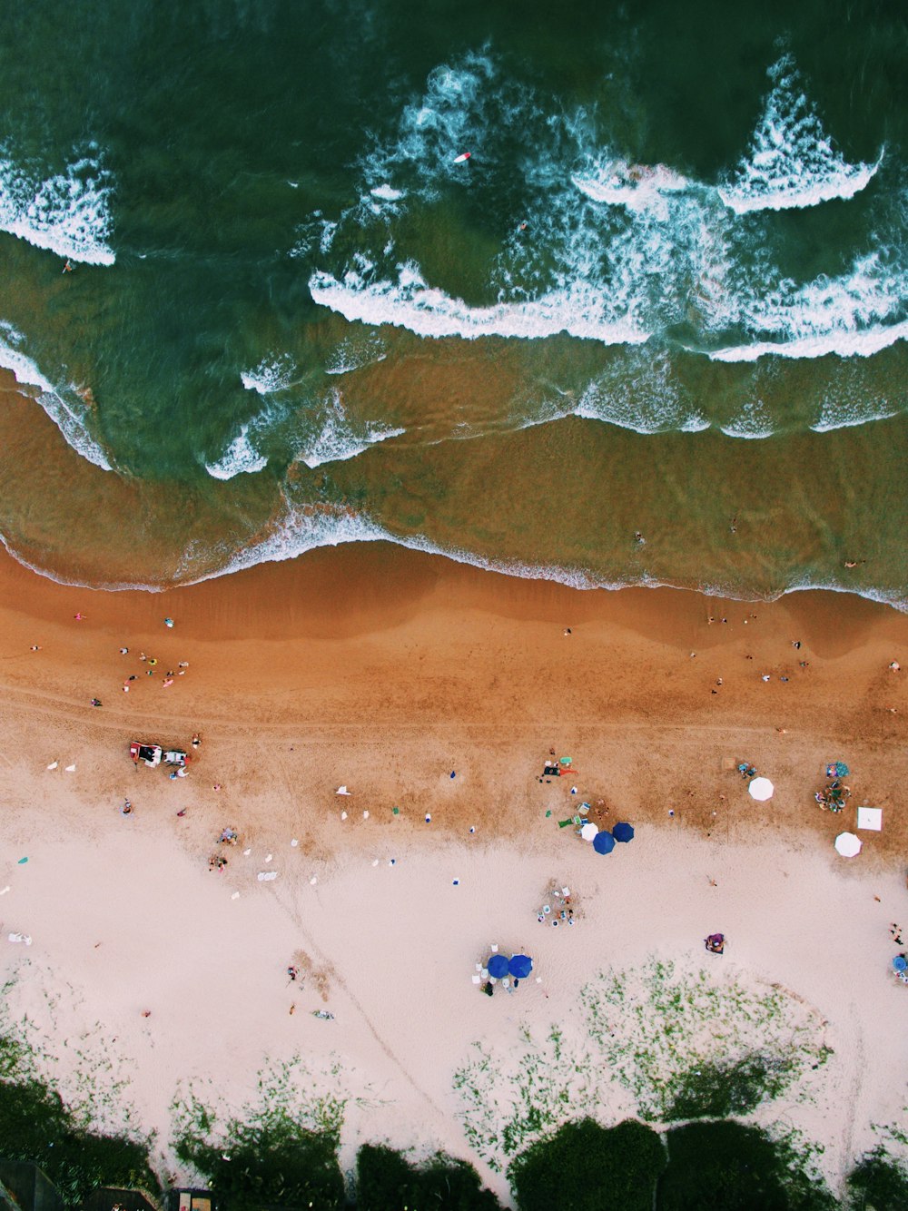 aerial view of people with umbrella near coastline