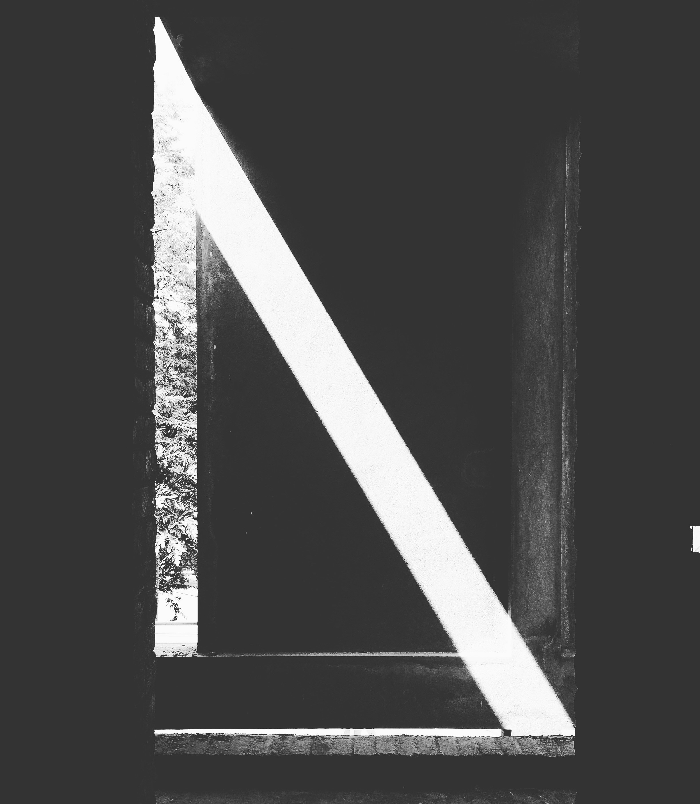 Free Unsplash photo from Ariv Gowran