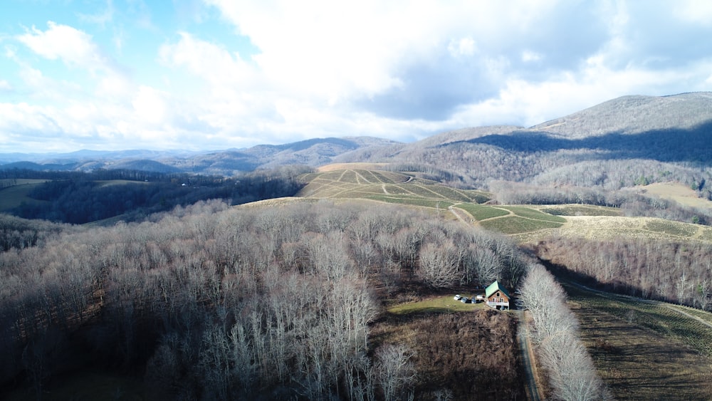 campi bianchi e verdi sotto la fotografia del cielo blu durante il giorno