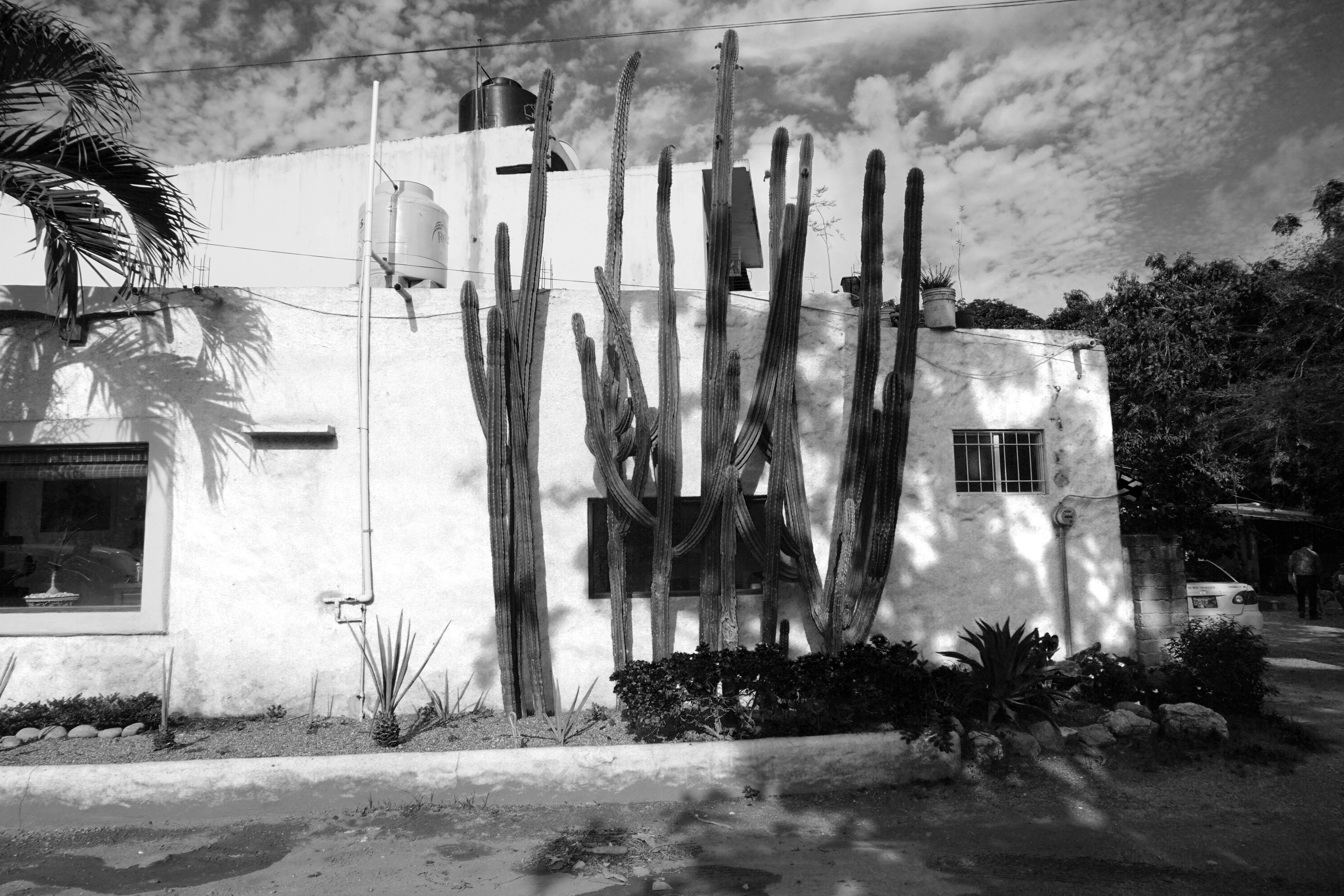 Free Unsplash photo from Raphael Bruno